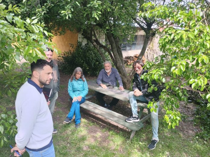 WhatsApp Image 2025-11-04 at 20.20.51