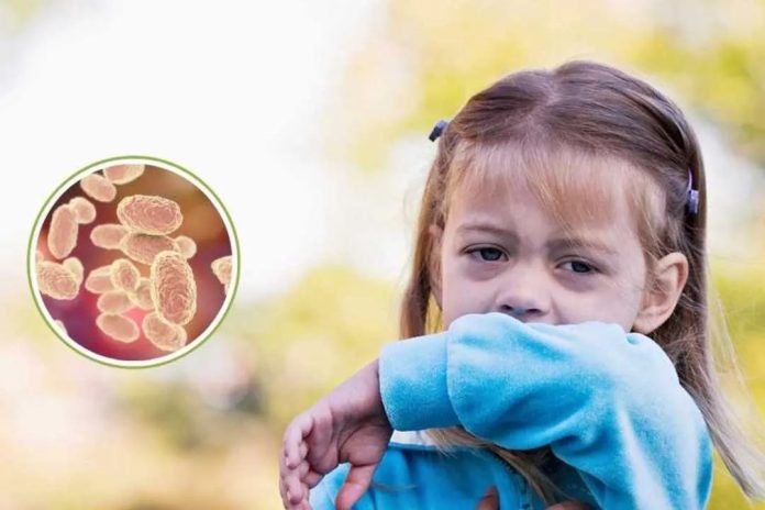 WhatsApp Image 2025-11-18 at 08.26.10