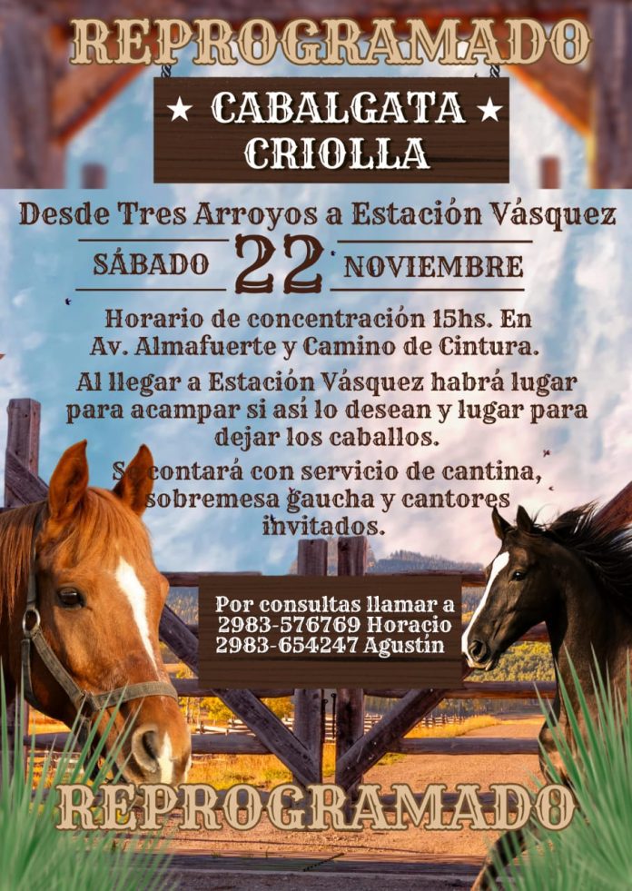 WhatsApp Image 2025-11-21 at 16.49.02 (2)