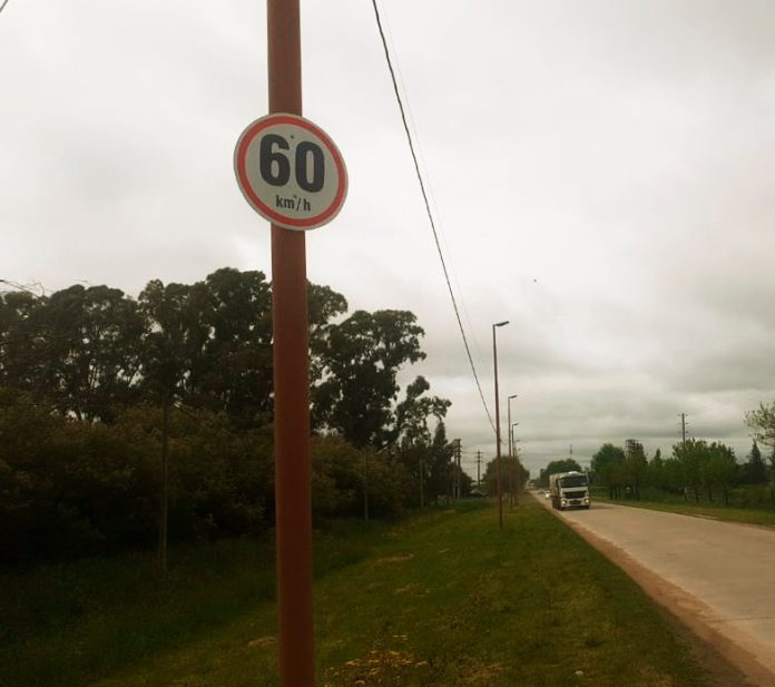 WhatsApp Image 2025-11-27 at 11.55.01