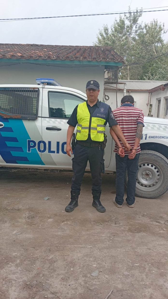 WhatsApp Image 2025-12-11 at 11.37.44