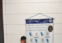 Dañaba una vivienda con un hacha y fue aprehendido tras un llamado al 911