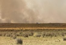 Preocupa el avance del incendio en la zona de médanos entre Oriente y Marisol