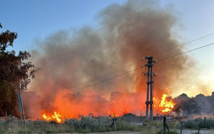 WhatsApp-Image-2024-01-23-at-21.53.25-edited