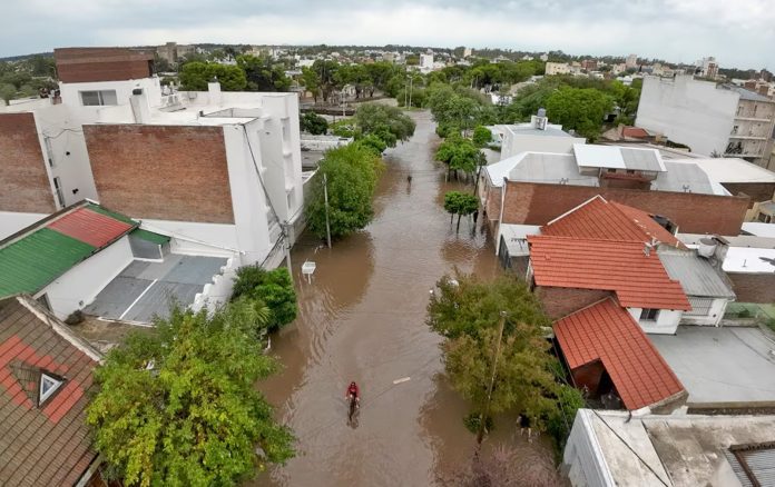 WhatsApp Image 2026-01-09 at 09.38.51