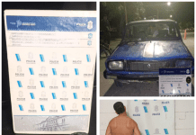 Vuelve PEMTA: comenzó la convocatoria para la presentación de proyectos