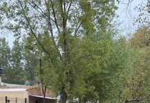 Fuerte tormenta en la costa: complicaciones en la región