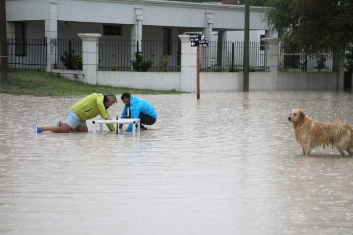 WhatsApp Image 2026-03-16 at 12.44.44