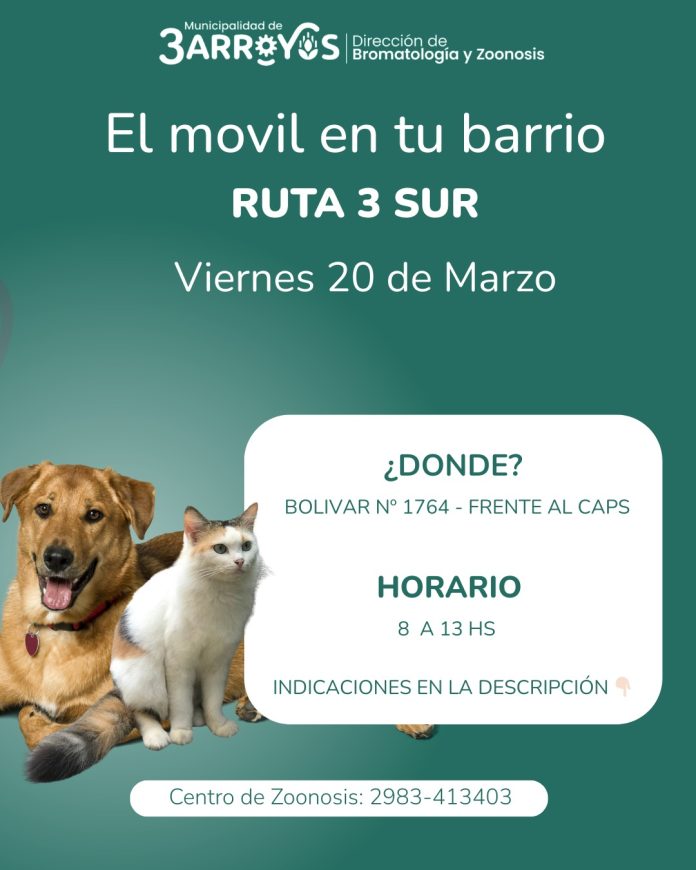 WhatsApp Image 2026-03-19 at 12.52.08