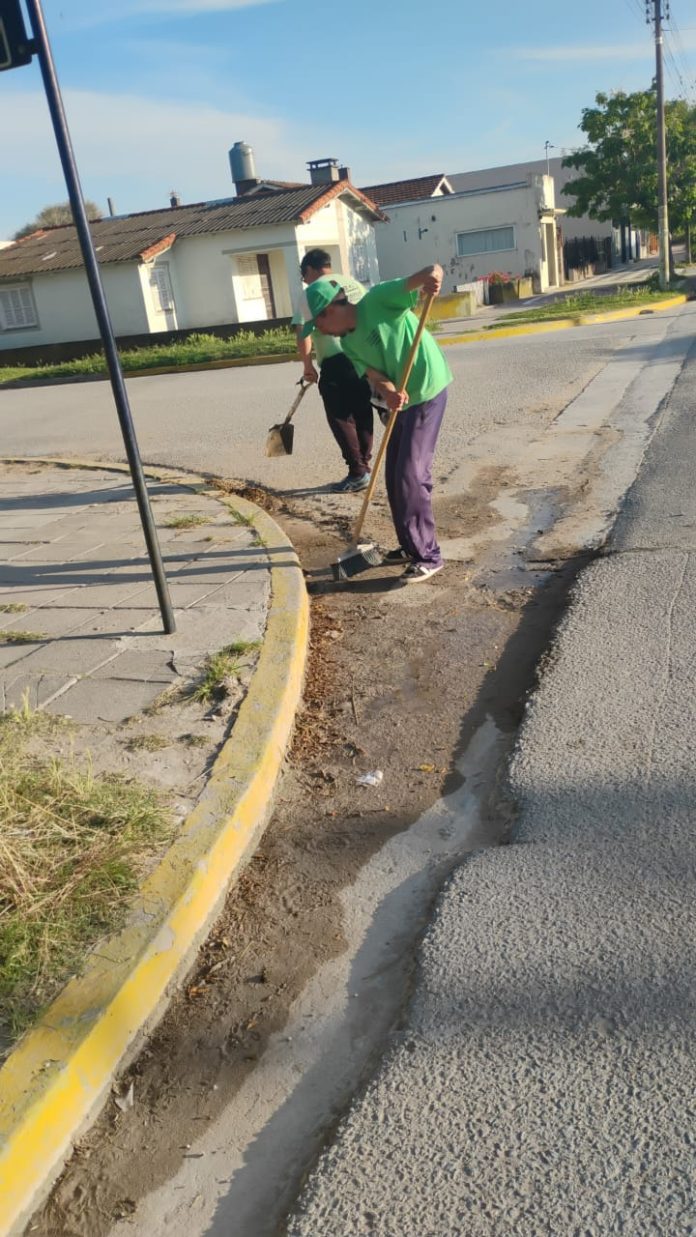 WhatsApp Image 2026-03-26 at 08.57.39