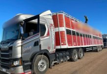 Control en caminos rurales: recuerdan normas para el transporte y el cuidado de las vías