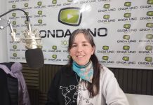 Turismo: “Necesitamos plantear una serie de acciones a seguir a futuro”, dijo Goicoechea