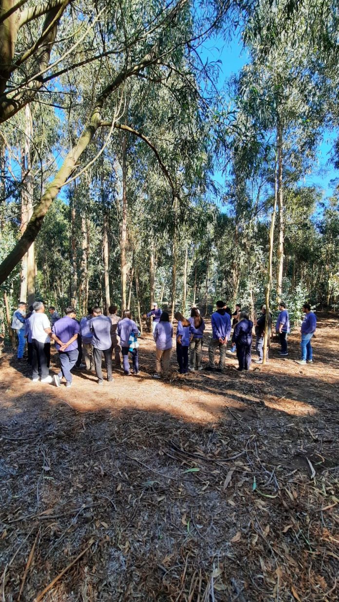 WhatsApp Image 2026-04-09 at 17.20.15