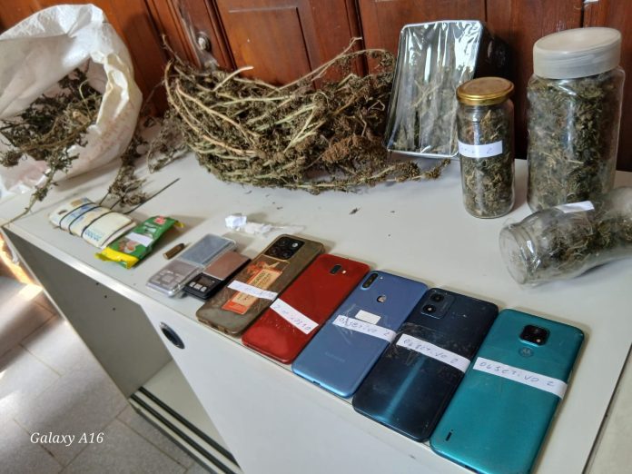 WhatsApp Image 2026-04-11 at 14.18.03 (1)