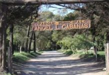 Día del Niño: habrá una jornada especial en el Parque Cabañas