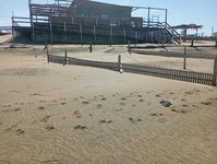 Claromecó: un privado compró su máquina y aplica enquinchados para retener arena en la playa