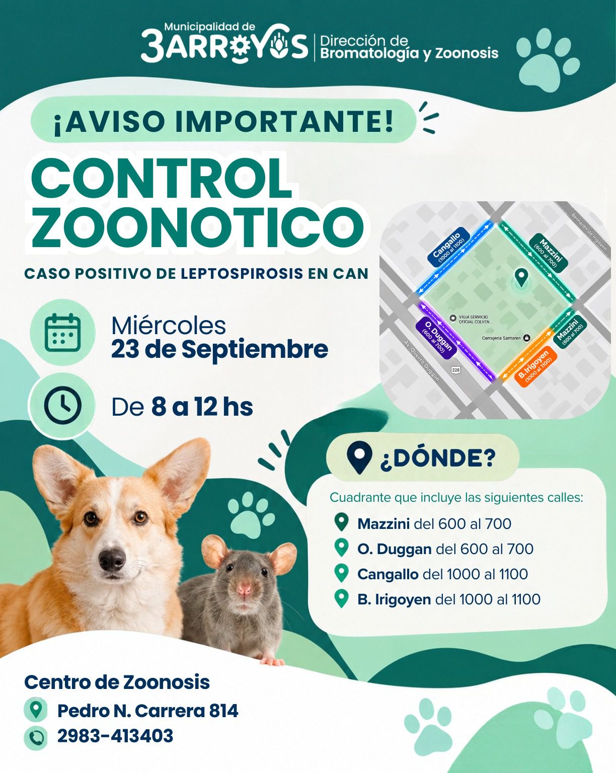 Realizarán un operativo de control y sangría de perros por un caso positivo de leptospirosis