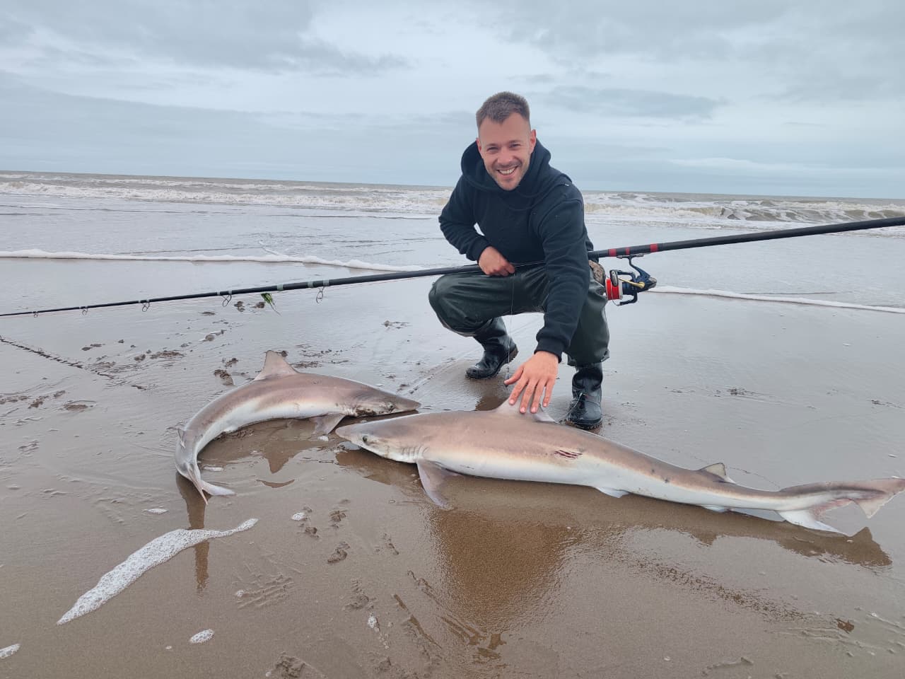 Comenzó la pesca del cazón en las costas de Claromecó